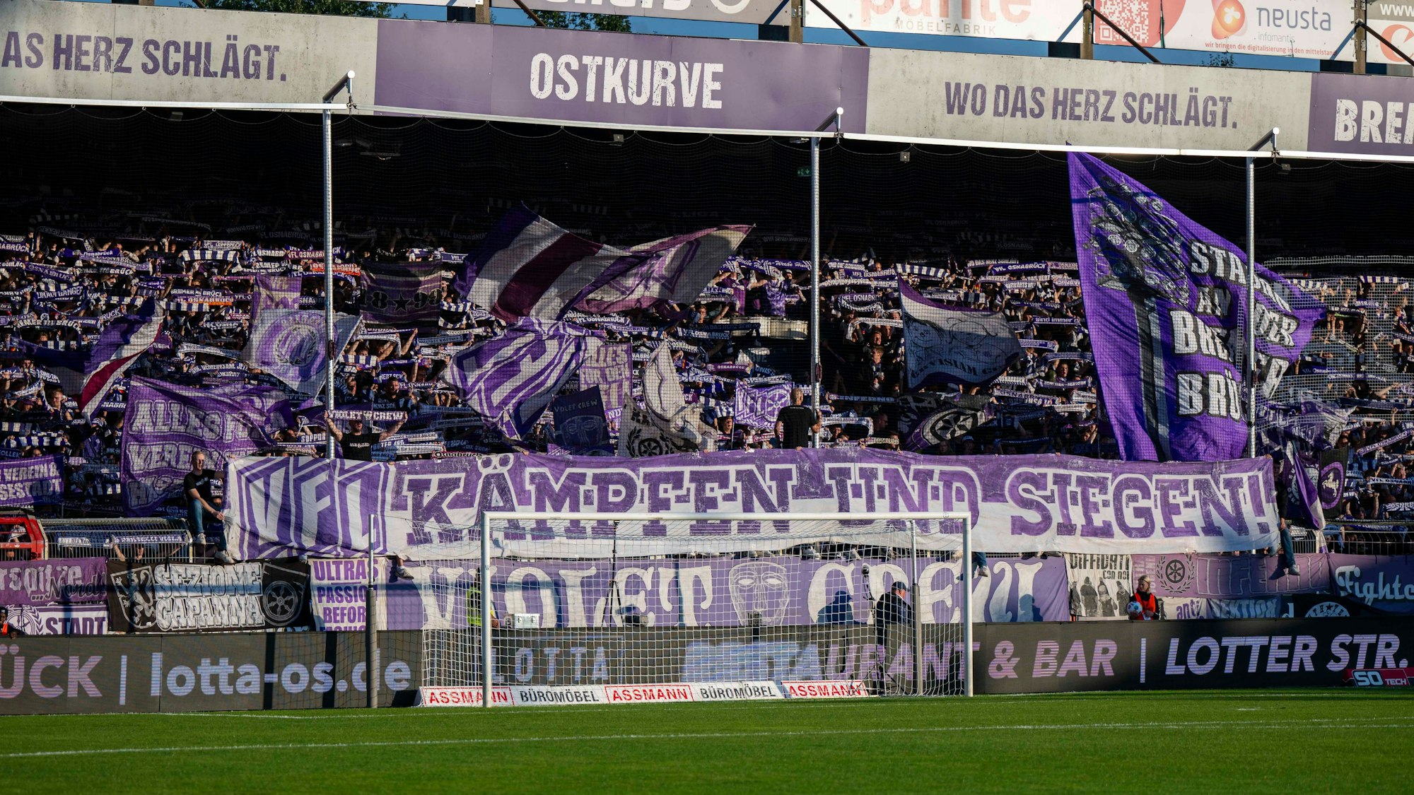 Fans des VfL Osnabrück schwenken beim Spiel gegen den HSV ihre Fahnen.