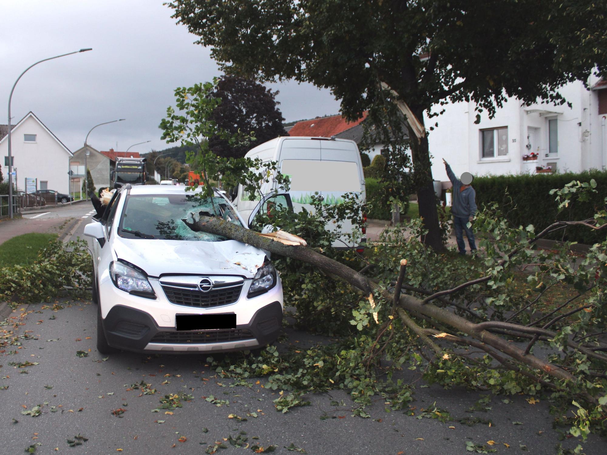 Ein Ast hat die Windschutzscheibe eines Autos durchbohrt. Eine Autofahrerin in Lübbecke an der Landesgrenze zu Niedersachsen hatte nach Überzeugung der Polizei am Donnerstag gleich mehrere Schutzengel.