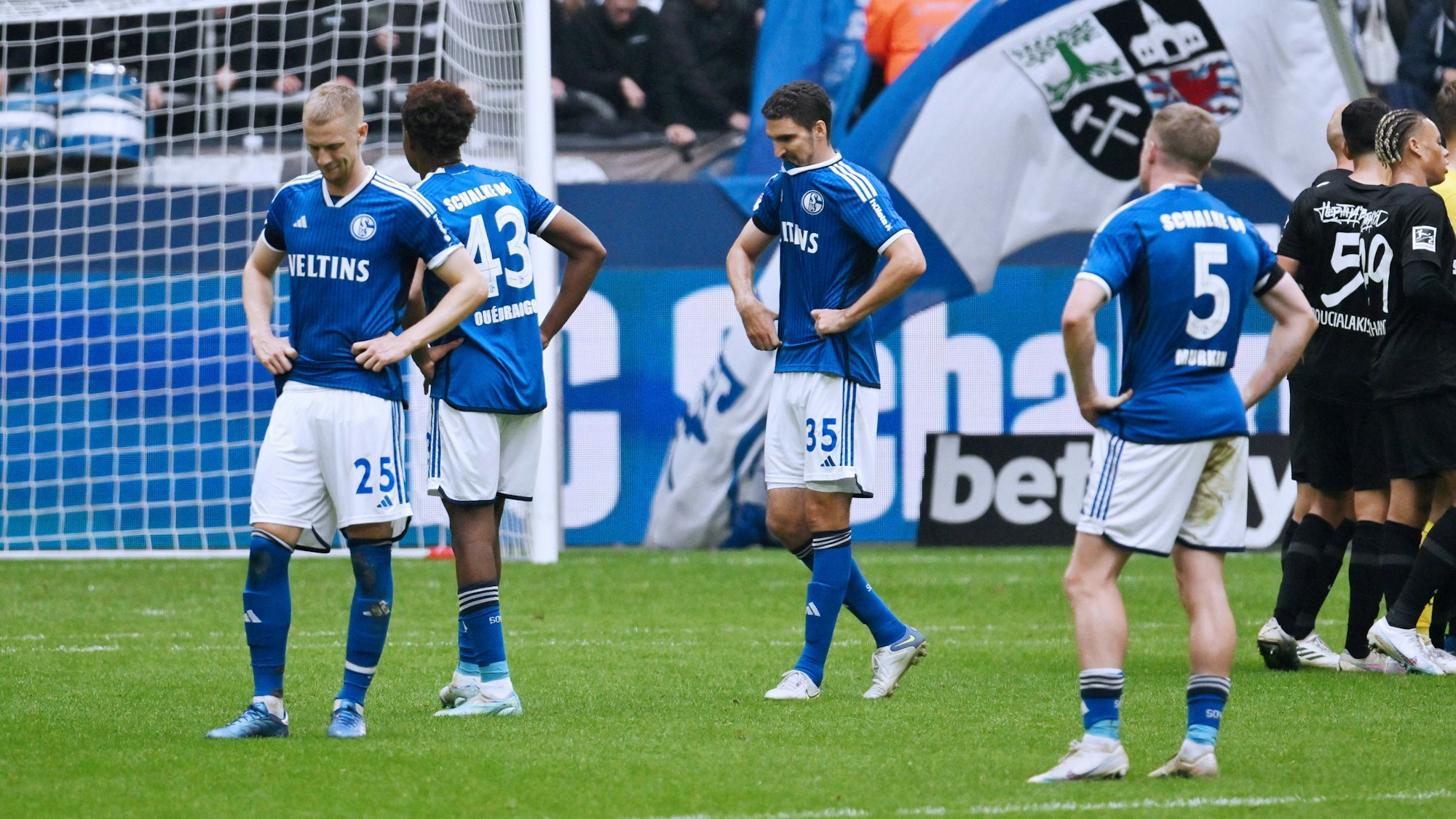 Timo Baumgartl, Assan Ouedraogo, Marcin Kaminski und Derry John Murkin vom FC Schalke 04 sind bedient.