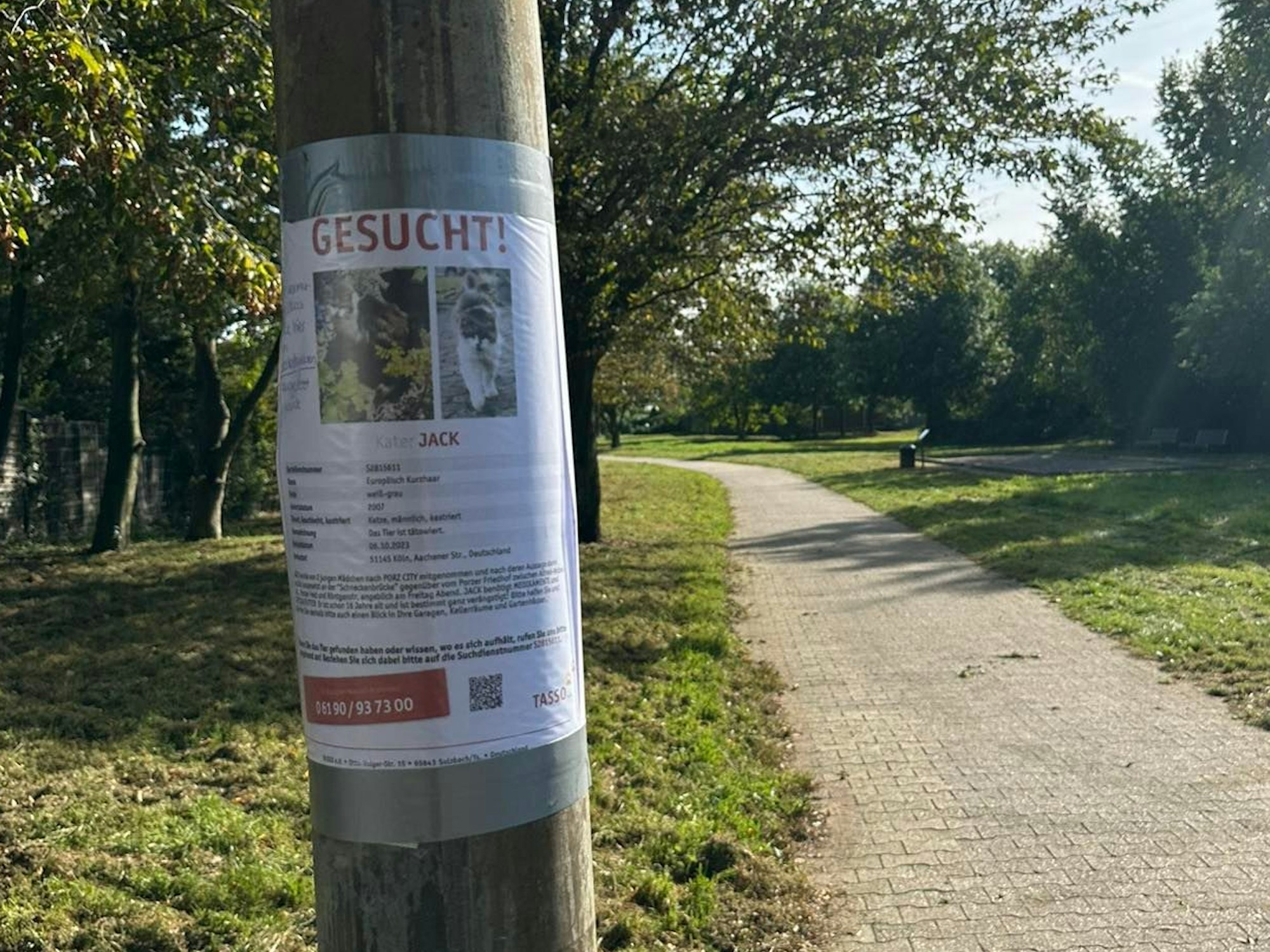 An einem Laternenmast an einem Fußweg hängt ein Zettel, auf dem Kater Jack gesucht wird.
