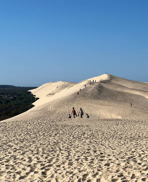 Sand, so weit das Auge reicht auf der Dune du Pilat bei Arcachon am Atlantik.