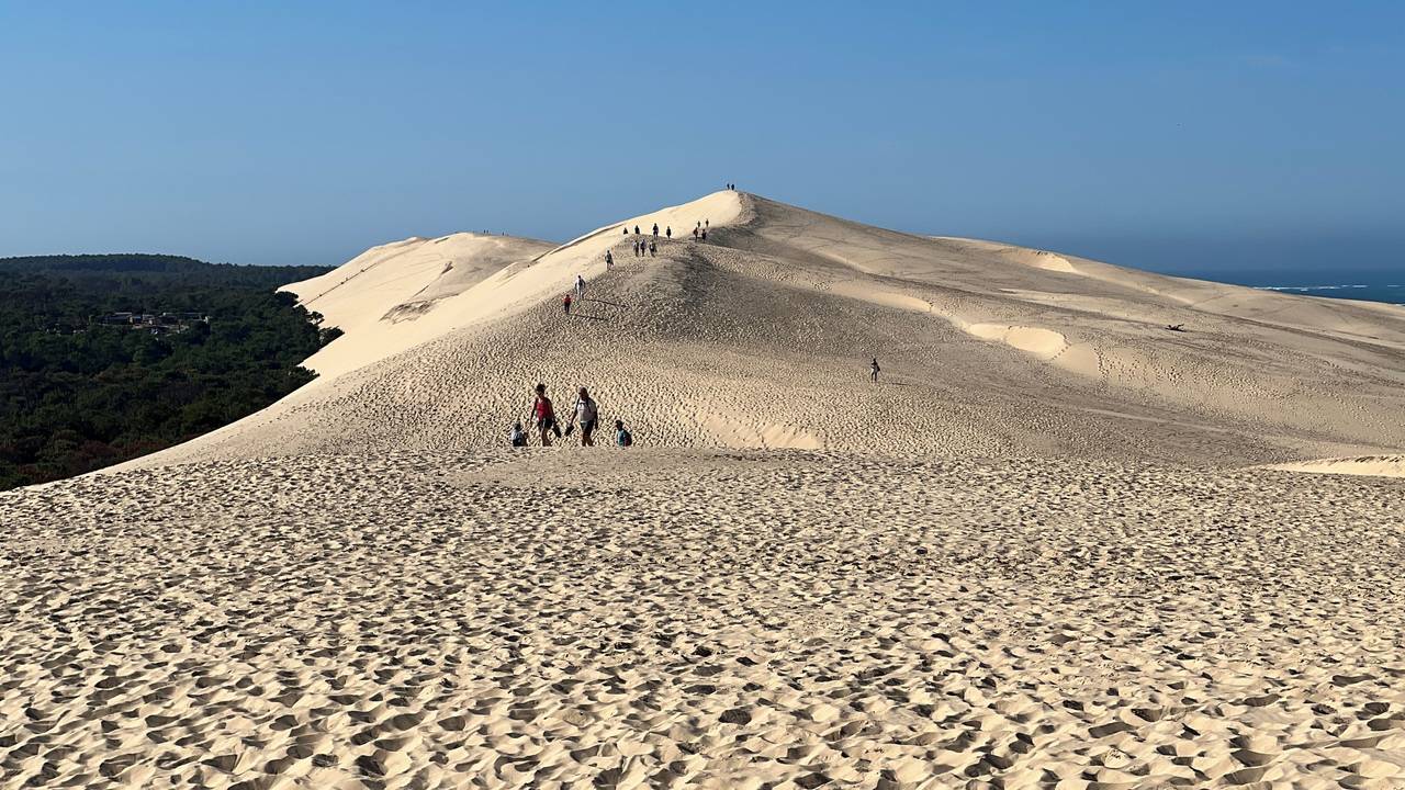 Sand, so weit das Auge reicht auf der Dune du Pilat bei Arcachon am Atlantik.