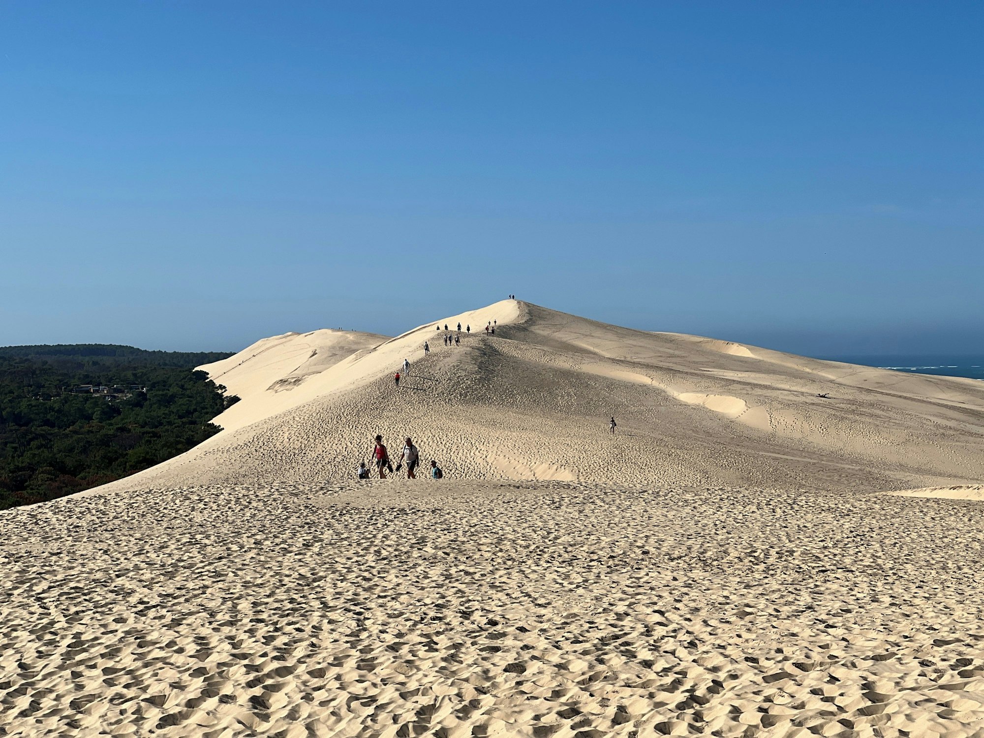 Sand, so weit das Auge reicht auf der Dune du Pilat bei Arcachon am Atlantik.