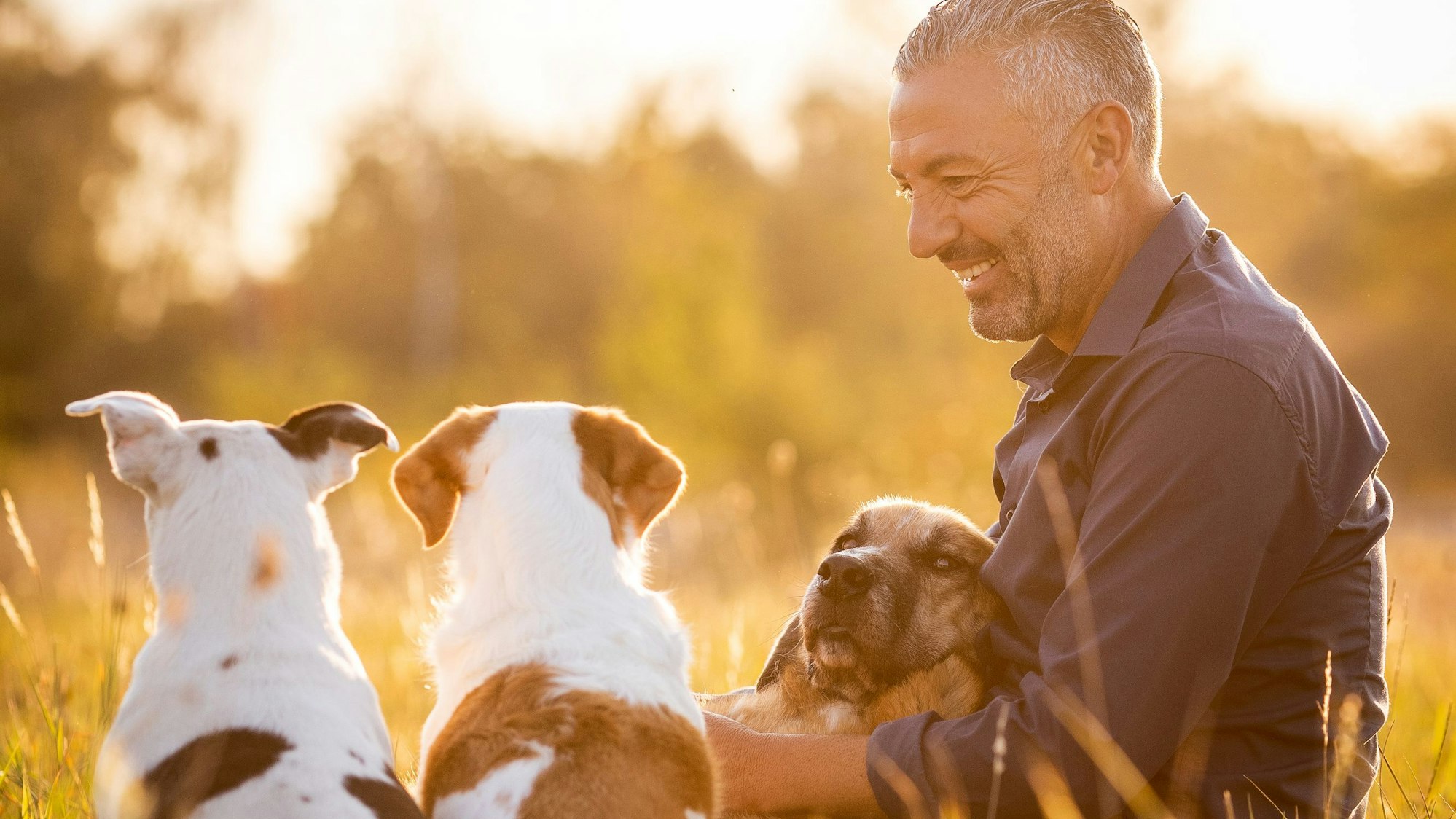 Ganz entspannt sitzt Hund-Mensch-Coach Andreas Ohligschläger mit drei Hunden in einer Wiese und lächelt.