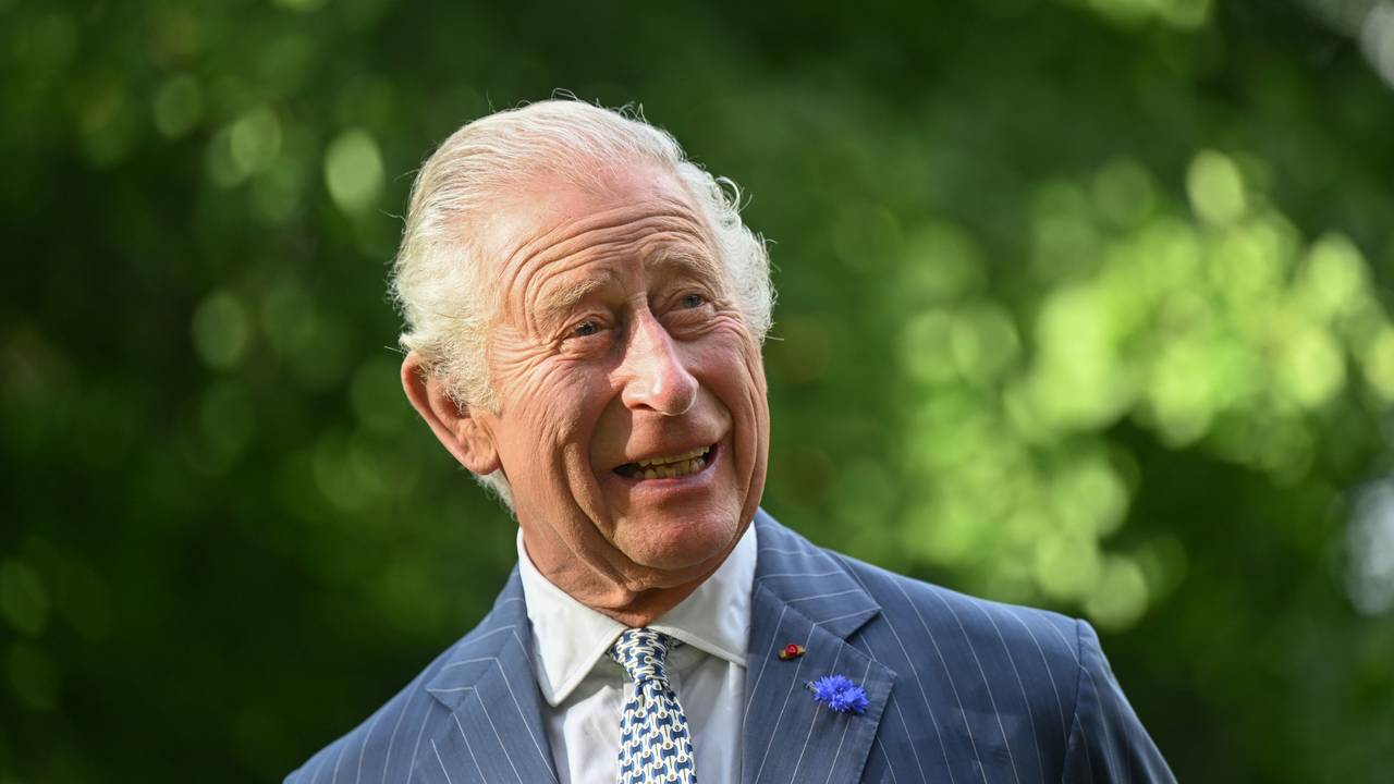 König Charles trägt einen Anzug und lächelt.