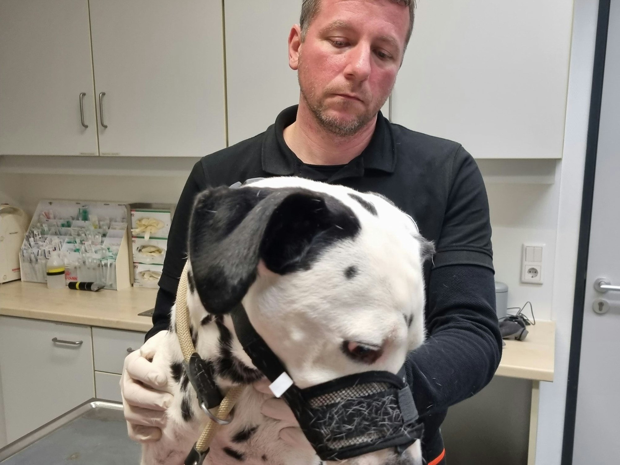 Tierretter Dennis hält Hund Lucky für eine Untersuchung fest.