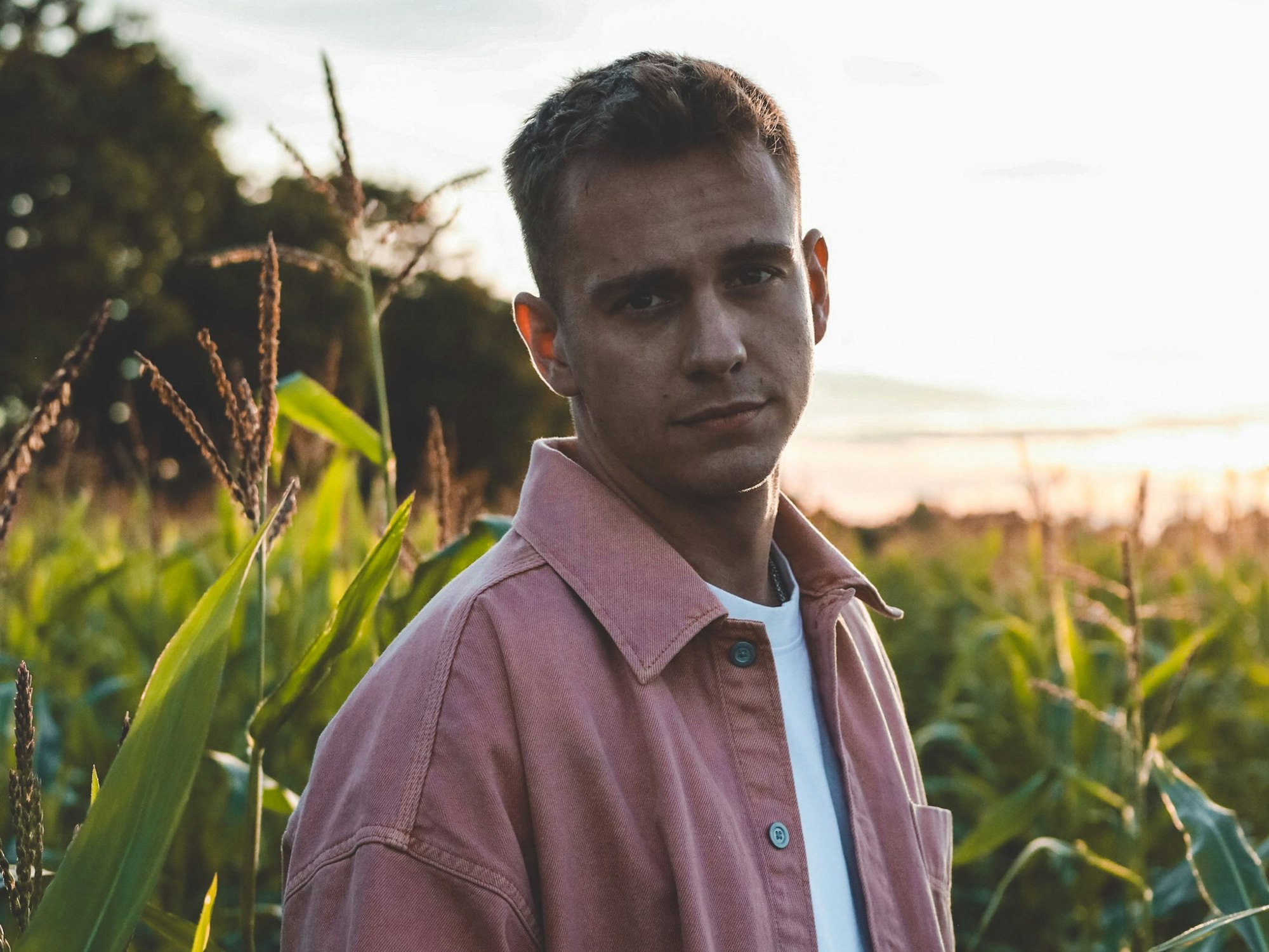 Der Kölner Sänger Alex Fark steht auf einem Maisfeld.