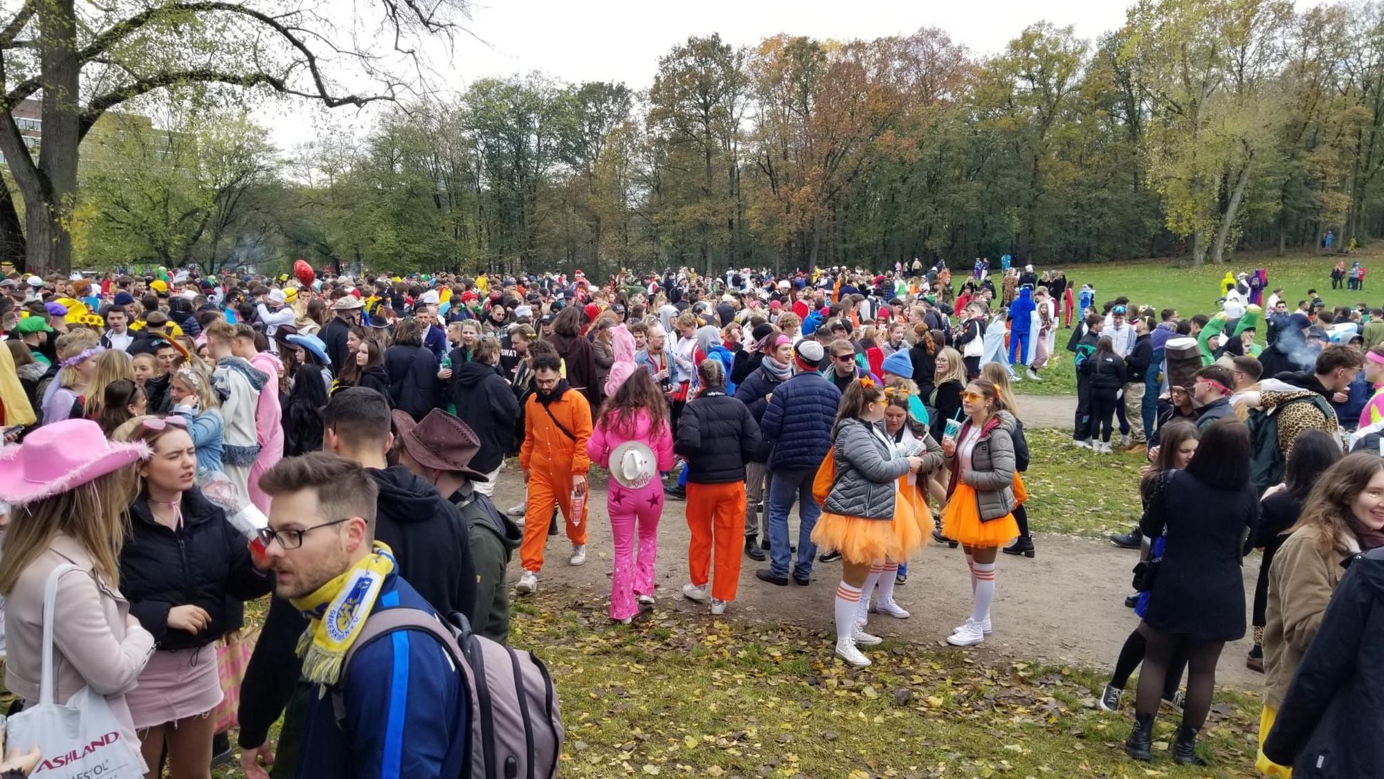 Viele Feiernde im Kölner Grüngürtel, alle sind kostümiert.