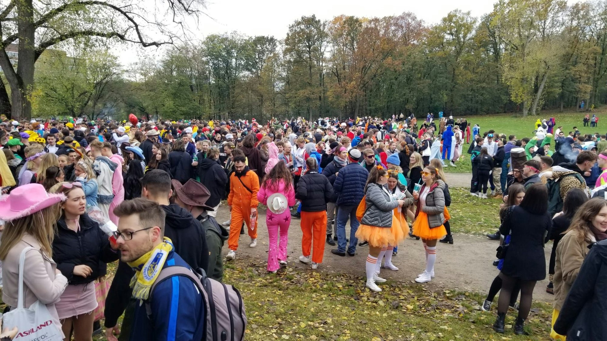 Viele Feiernde im Kölner Grüngürtel, alle sind kostümiert.