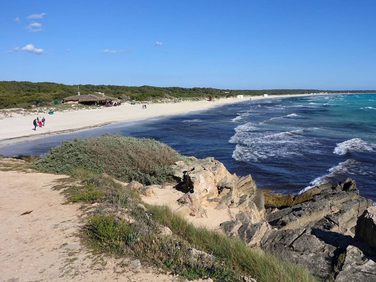Der Strand Es Trenc, aufgenommen am 2. Mai 2016 bei Ses Salines auf Mallorca (Spanien).