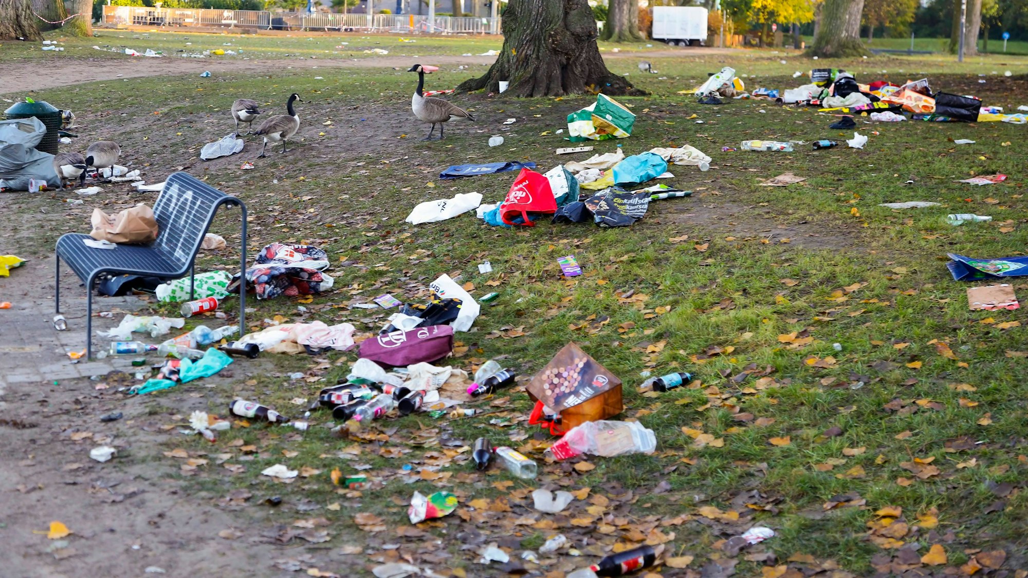 Aachener Weiher: Aufräumarbeiten der AWB nach dem Sessionsauftakt.