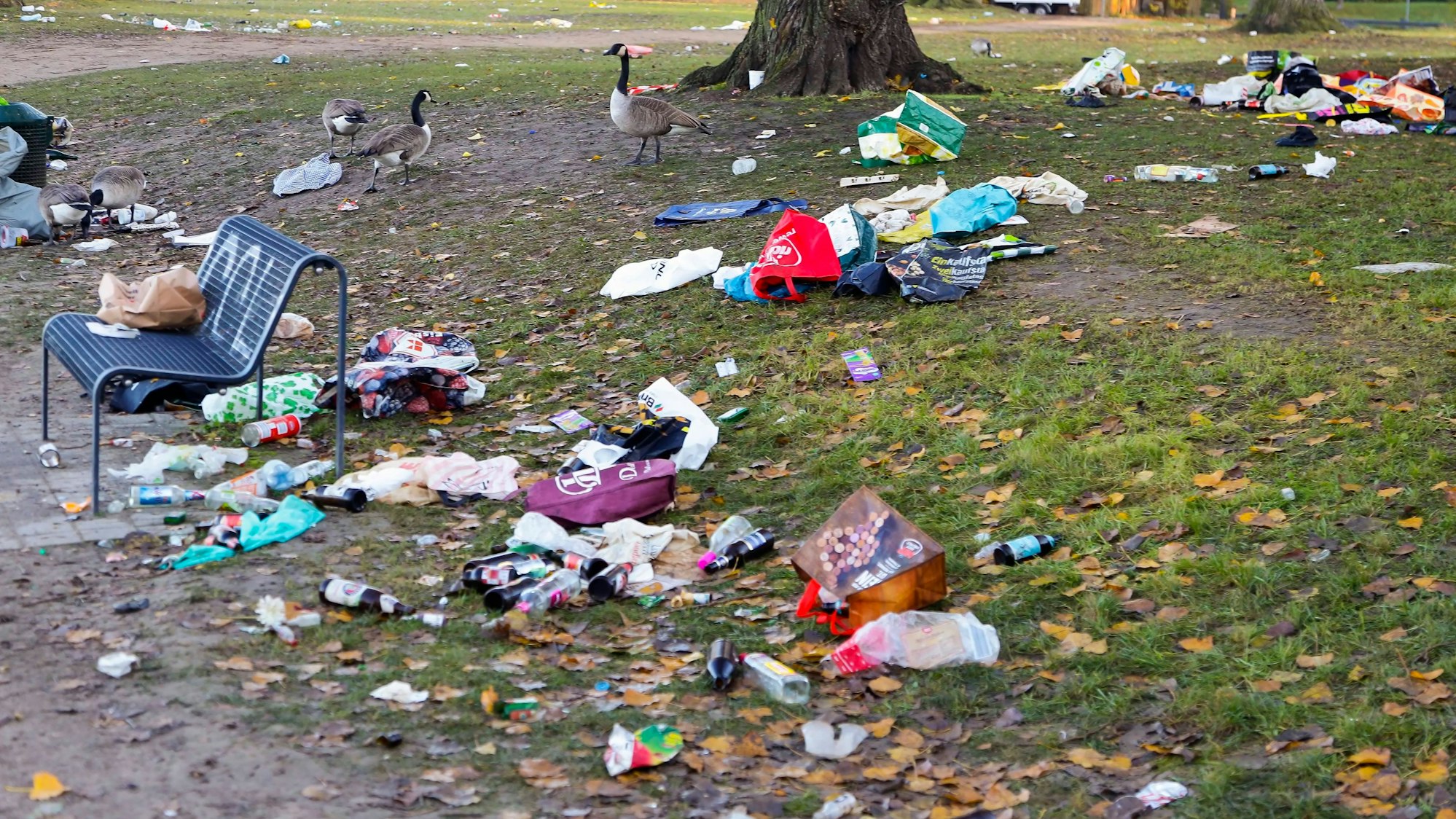 Müll am Aachener Weiher nach dem Sessionsauftakt