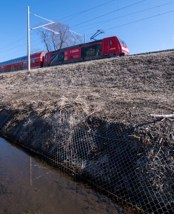 Ein Zug fährt an einem Entwässerungsgraben vorbei, der von einem Zaun eingefasst ist. Dieser Zaun soll verhindern, dass Biber mit Röhren den dahinter liegenden Bahndamm unterhöhlen und somit den Zugverkehr gefährden.