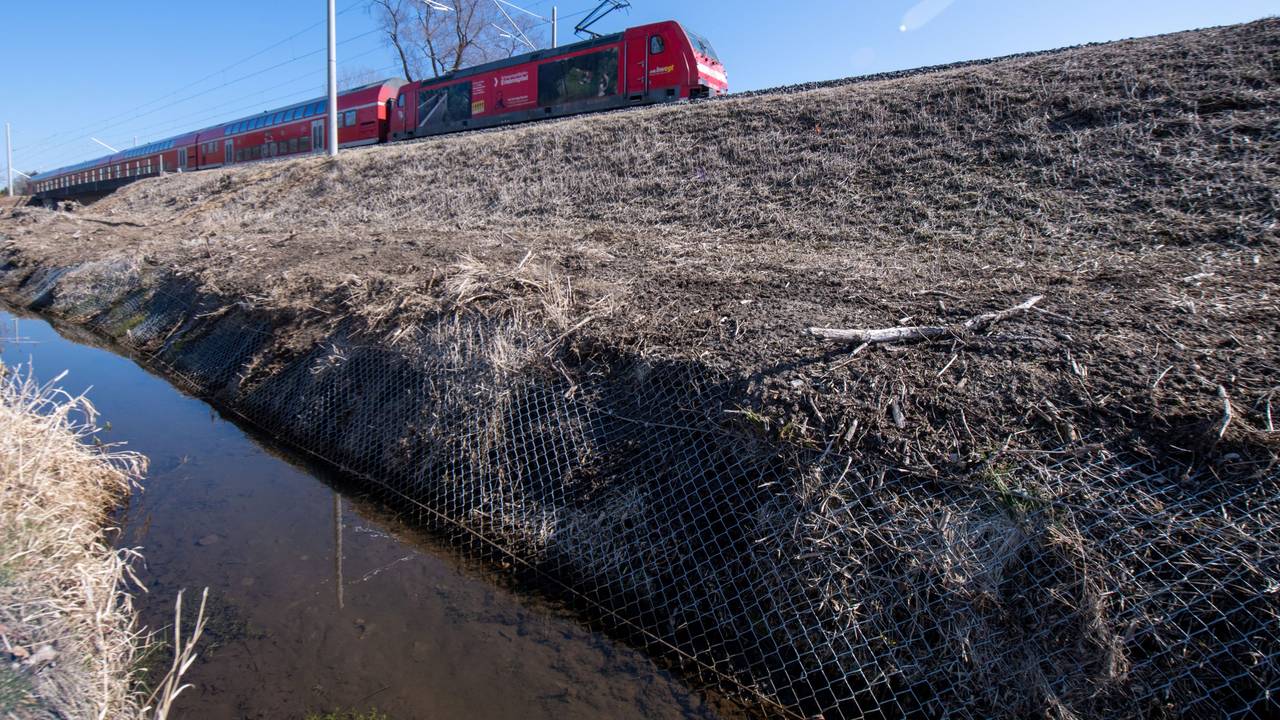 Ein Zug fährt an einem Entwässerungsgraben vorbei, der von einem Zaun eingefasst ist. Dieser Zaun soll verhindern, dass Biber mit Röhren den dahinter liegenden Bahndamm unterhöhlen und somit den Zugverkehr gefährden.