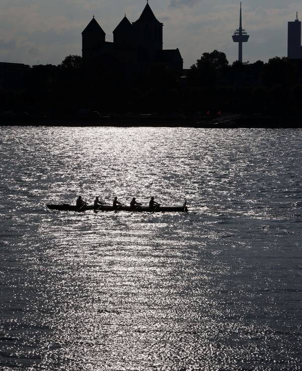 Ruderboot auf dem Rhein