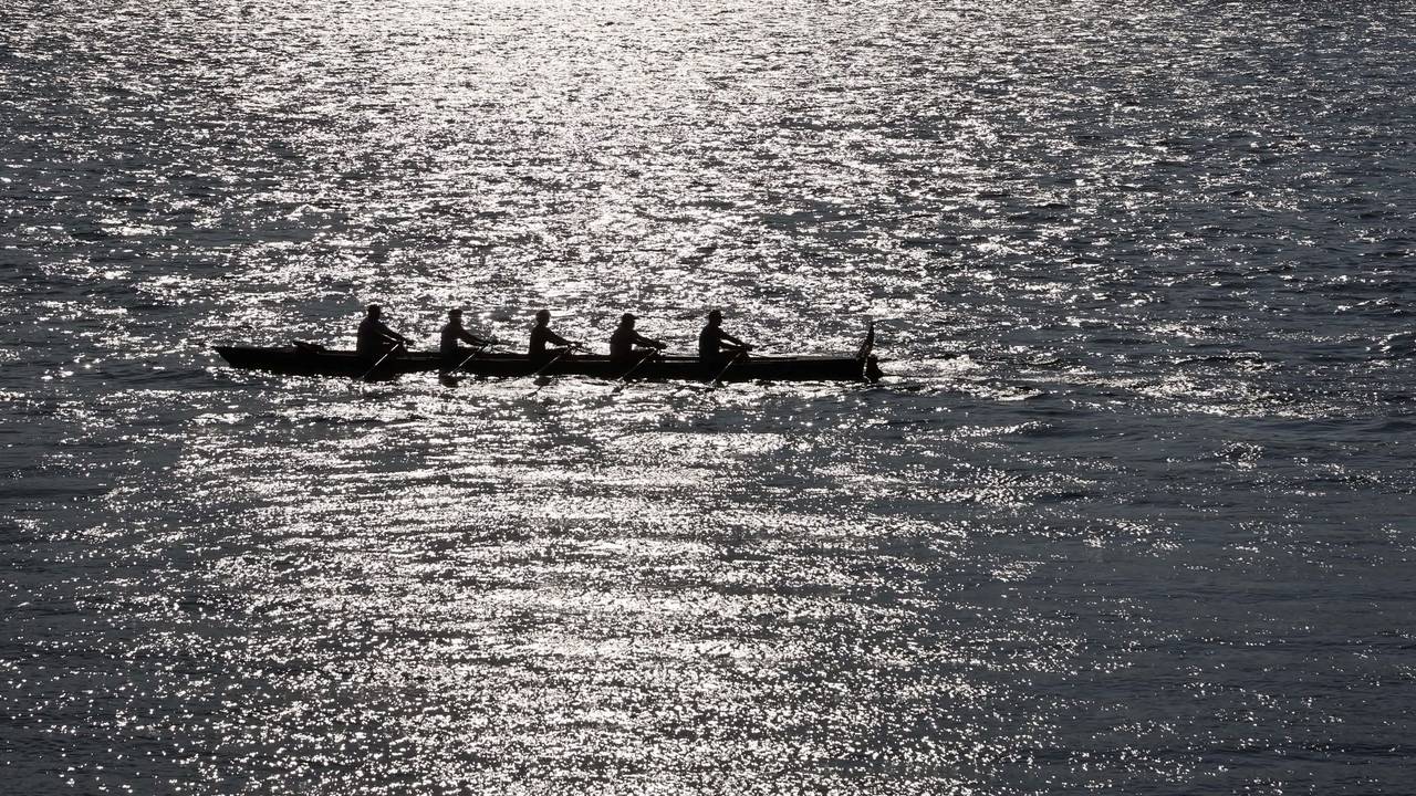 Ruderboot auf dem Rhein