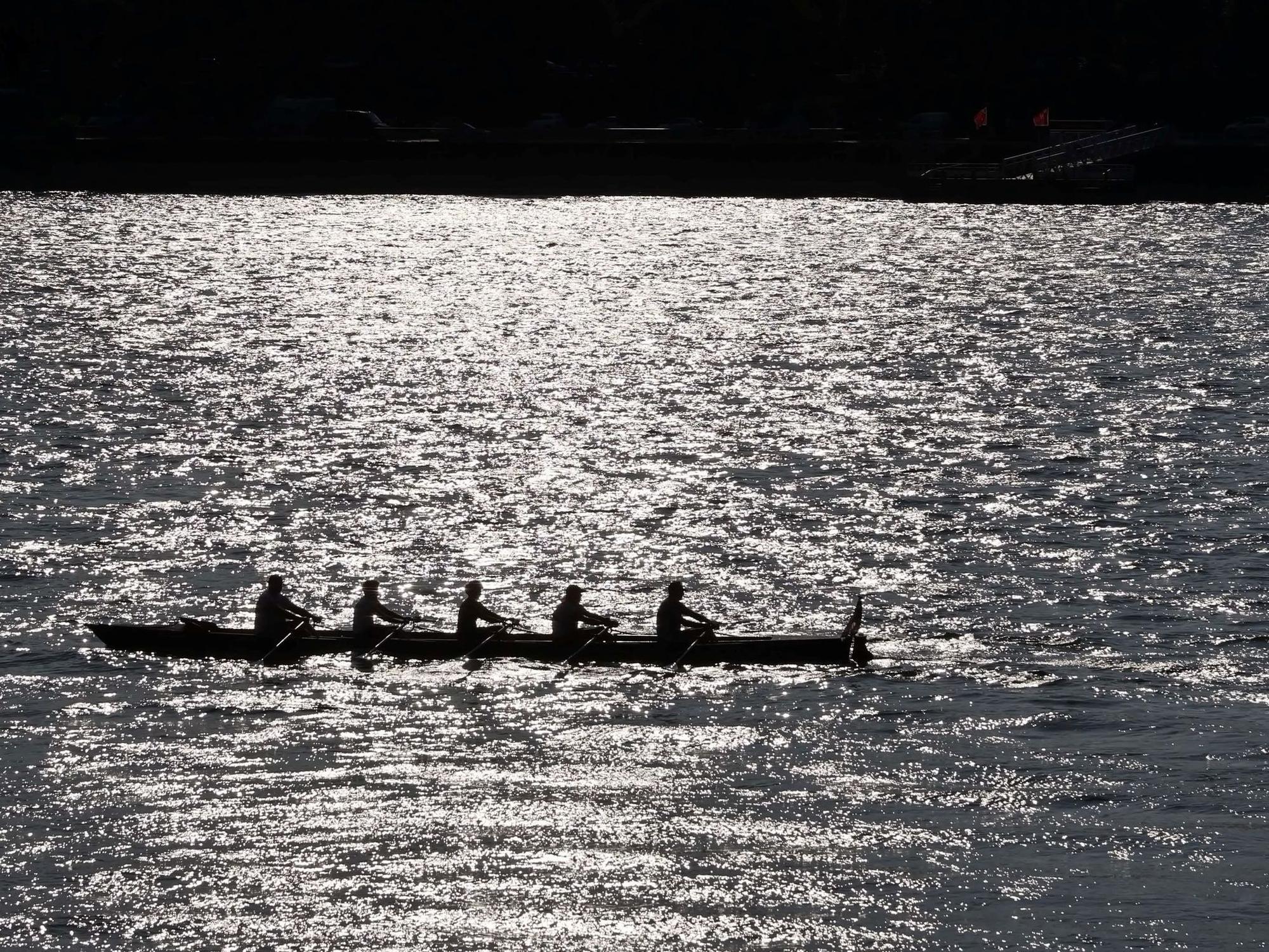 Ruderboot auf dem Rhein