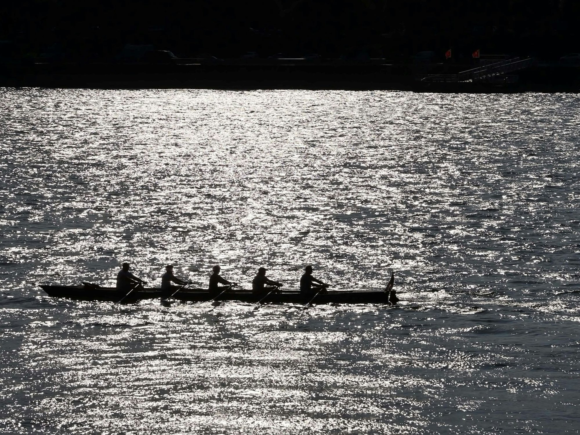 Ruderboot auf dem Rhein