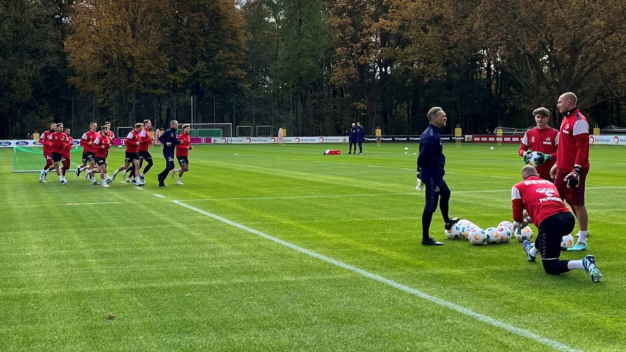 Training des 1. FC Köln am Geißbockheim.