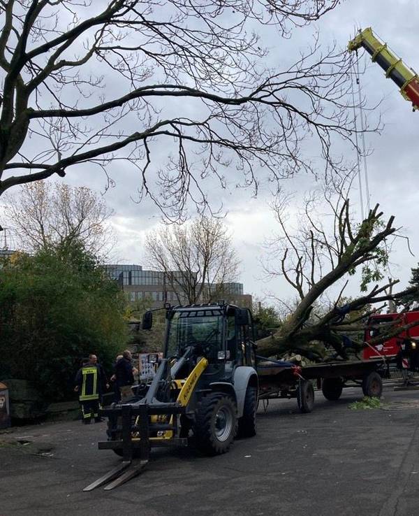 Feuerwehreinsatz im Bären-Gehege des Kölner Zoo