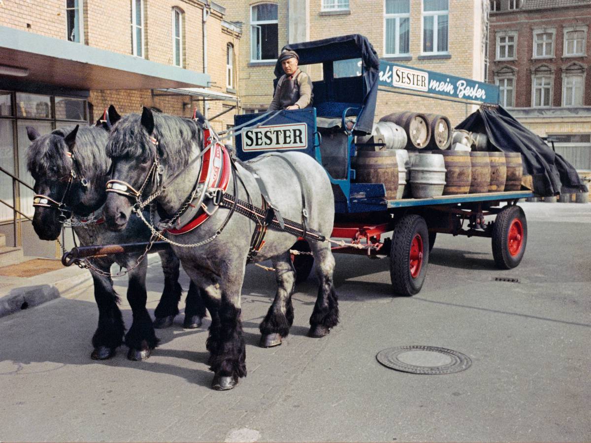 Bildbände „Kölner Schlagzeilen“
