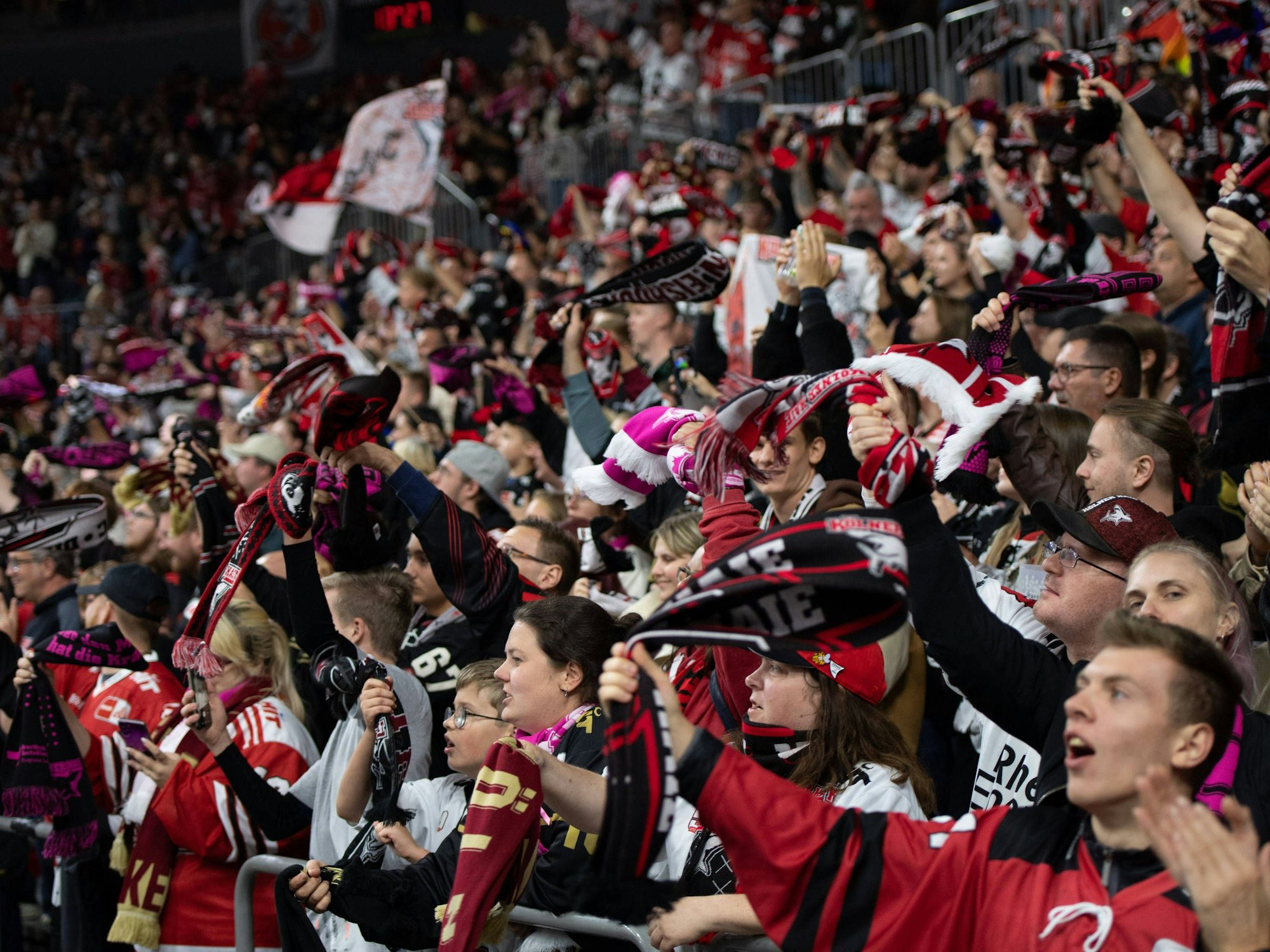 DEL: Kölner Haie gegen Eisbären Berlin – Fans auf der Tribüne.