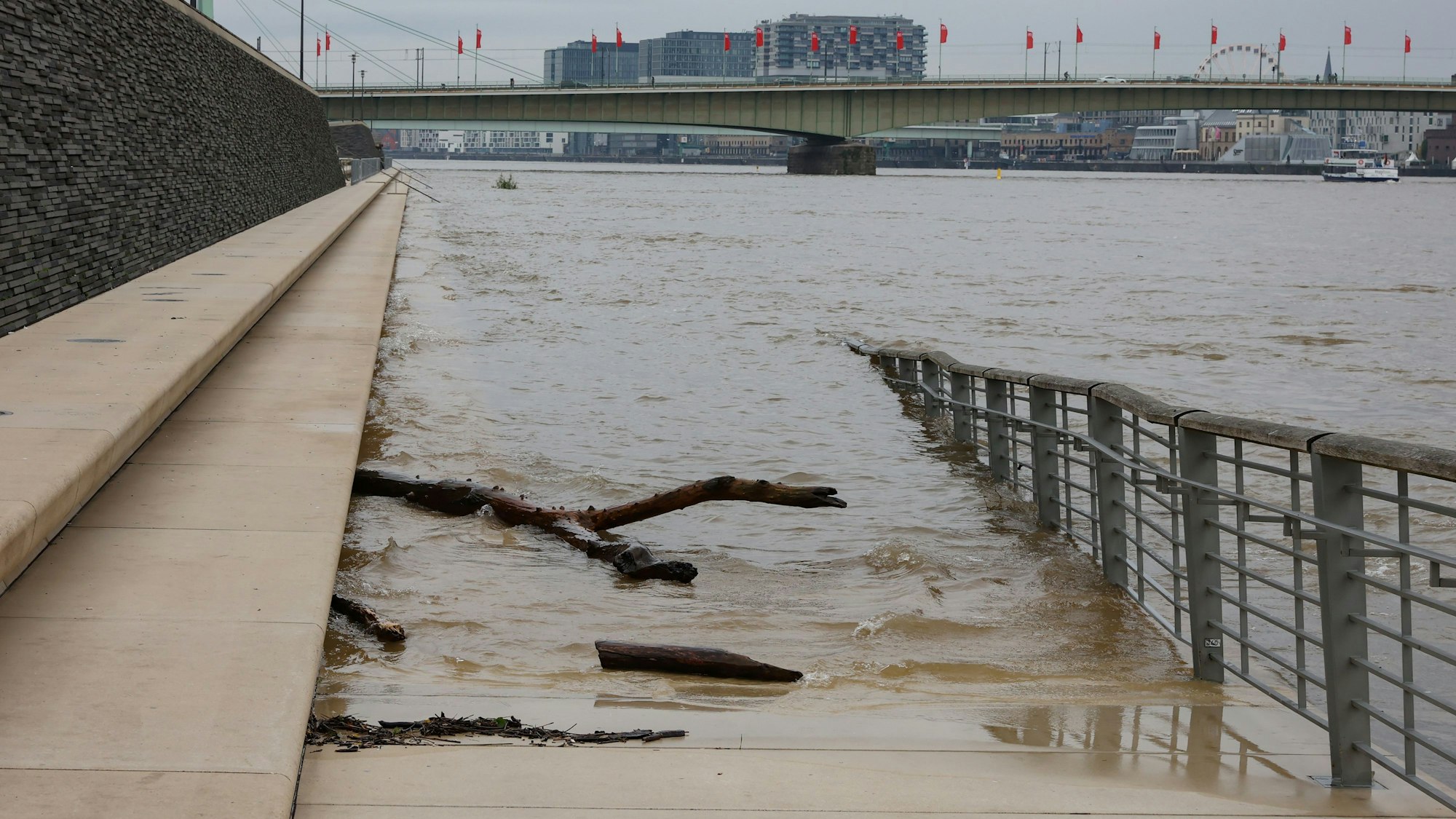 Hochwasserwelle am Rheinboulevard. Der Fluss führt viel Treibgut mit sich.