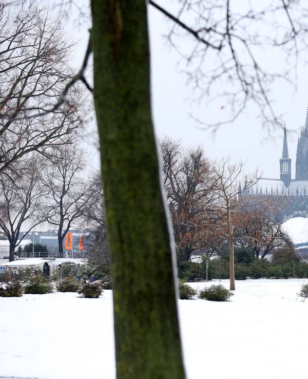 Blick aus dem verschneiten Rheinpark auf den Kölner Dom.