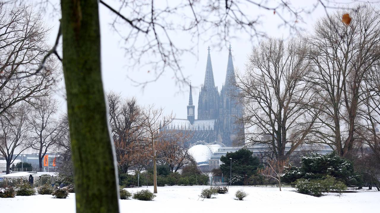 Blick aus dem verschneiten Rheinpark auf den Kölner Dom.