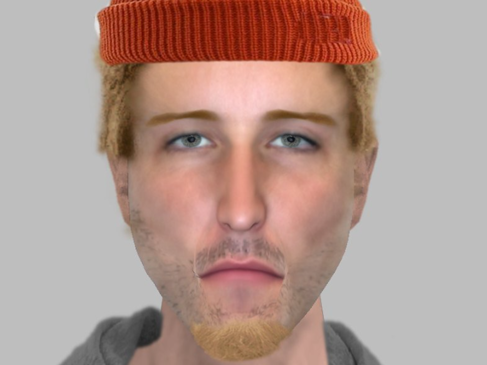 Ein Phantombild der Londoner Polizei.