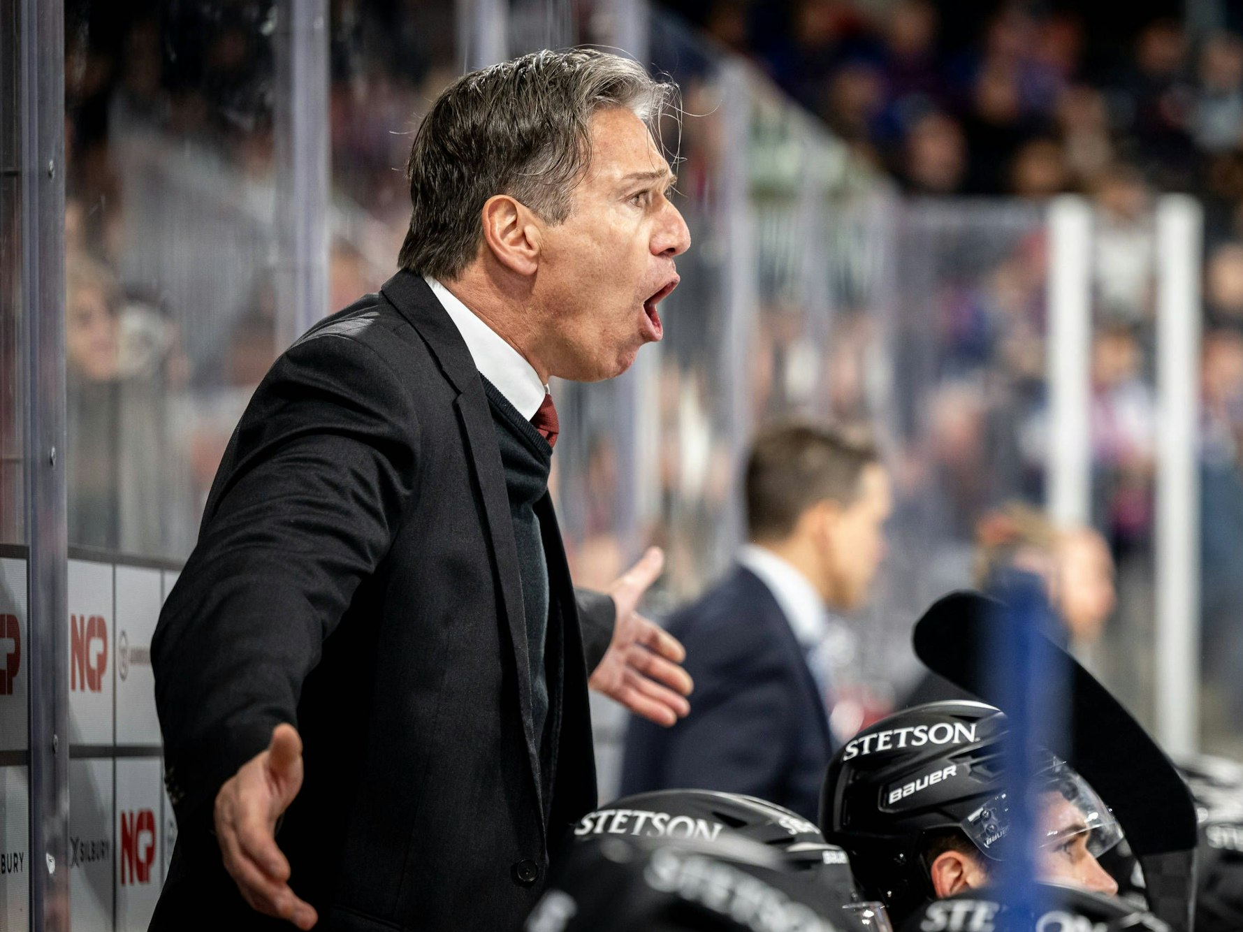 Uwe Krupp Trainer, Headcoach der Kölner Haie, brüllt hinter der Bande.