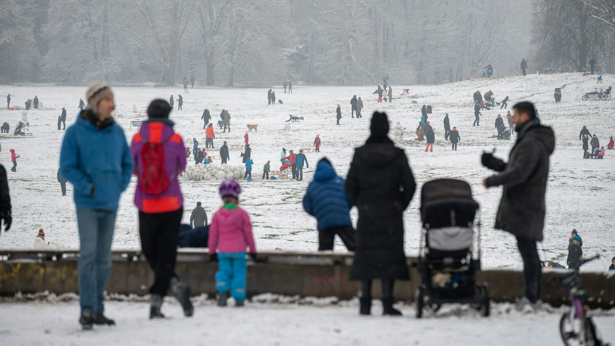 Kinder fahren Schlitten im Beethoven-Park in Köln