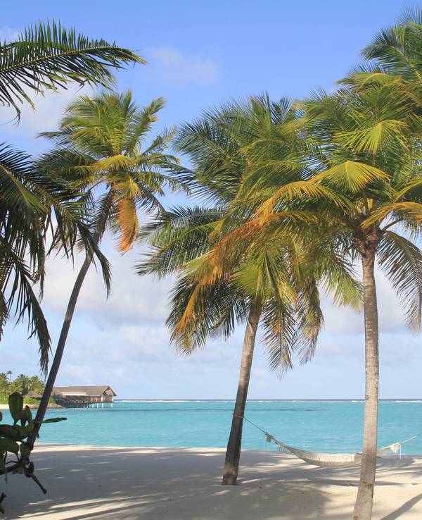 Vor den Villen am Strand der Insel Reethi Rah stehen zwei Palmen immer exakt so, dass eine Hängematte dazwischen passt.