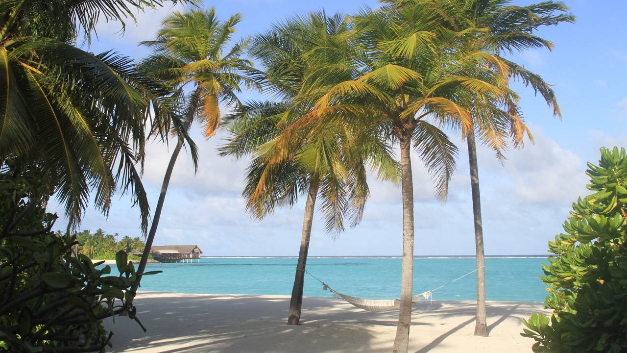 Vor den Villen am Strand der Insel Reethi Rah stehen zwei Palmen immer exakt so, dass eine Hängematte dazwischen passt.