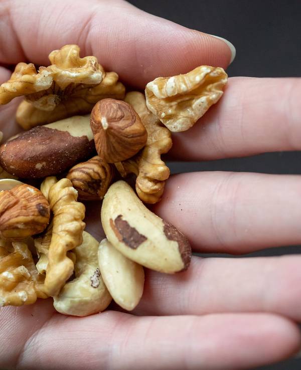 Kerne von Haselnuss, Paranuss, Walnuss, Mandel und Cashew liegen in einer Hand.