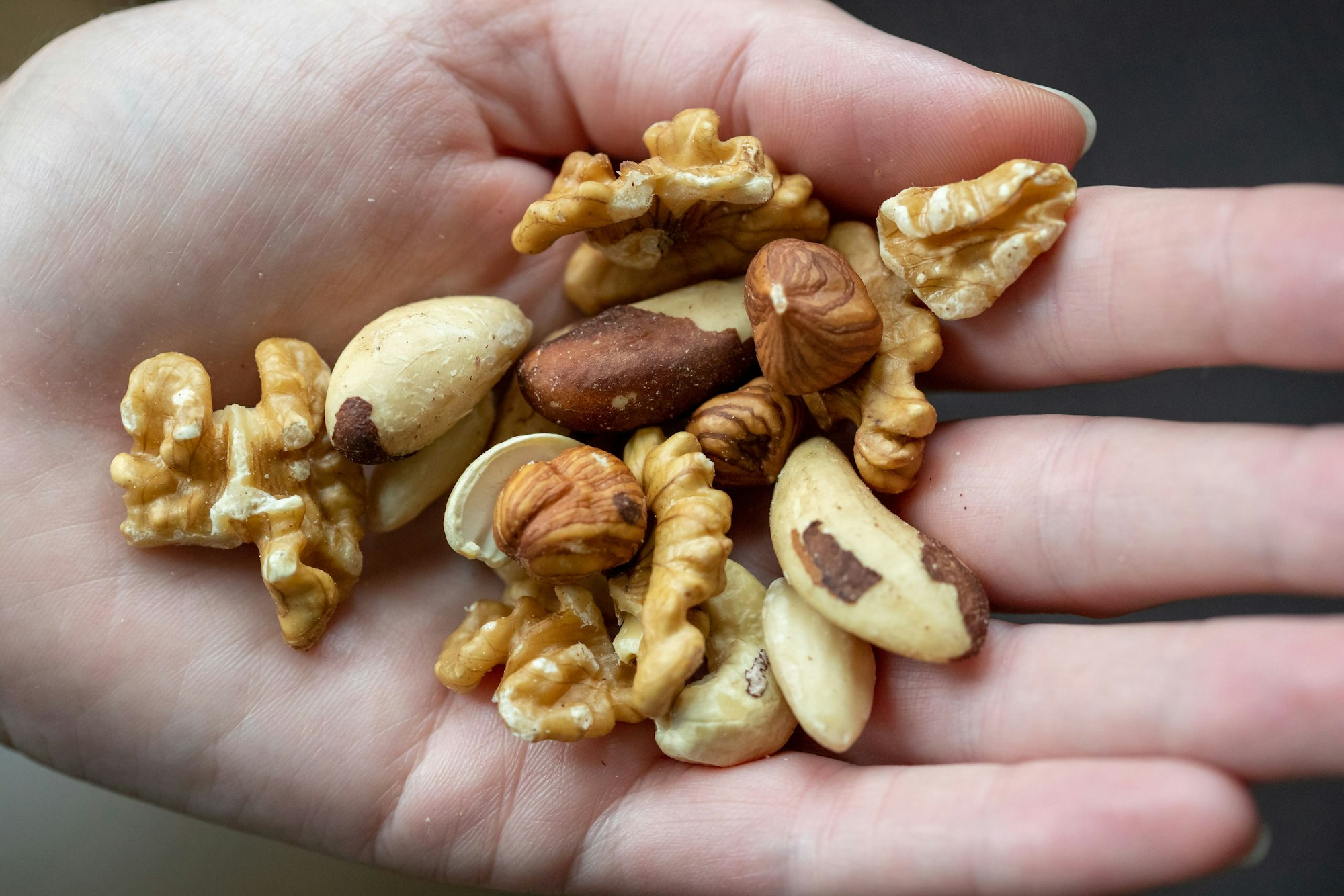 Kerne von Haselnuss, Paranuss, Walnuss, Mandel und Cashew liegen in einer Hand.