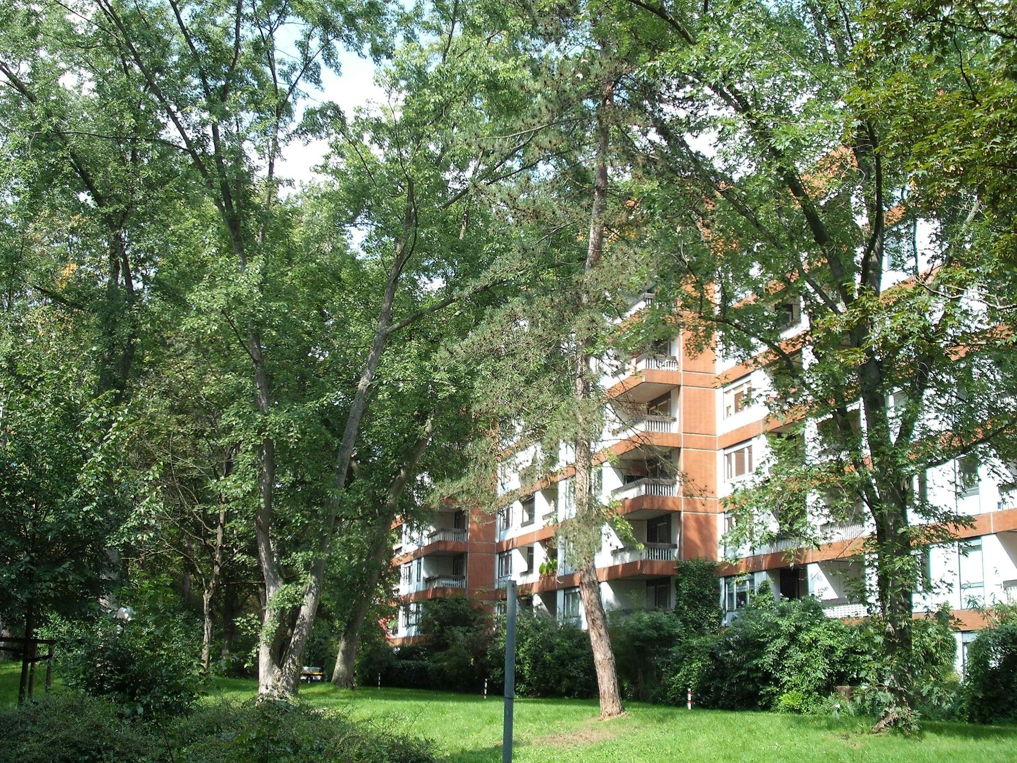 Bäume stehen vor einem Wohnkomplex.