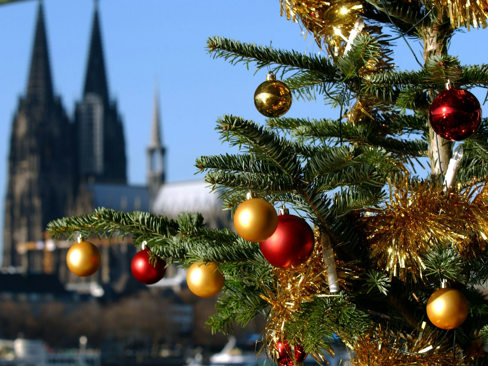 Ein geschmückter Tannenbaum. Im Hintergrund der Kölner Dom.