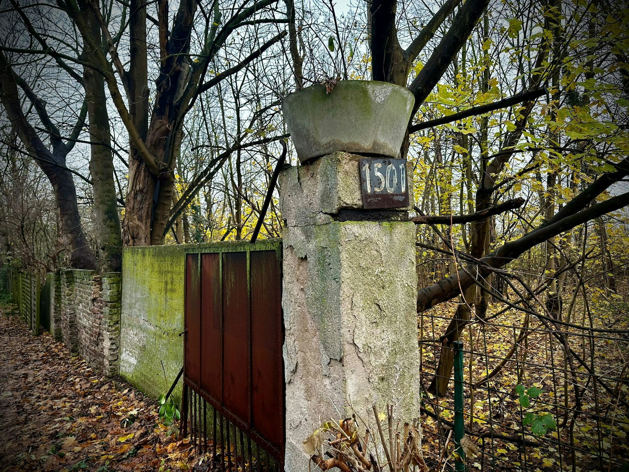 Zu sehen ist die Einfahrt zur Adresse Venloer Straße 1501.