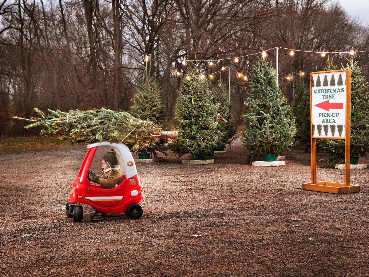 Kleiner Junge holt mit seinem Tretauto einen Weihnachtsbaum
