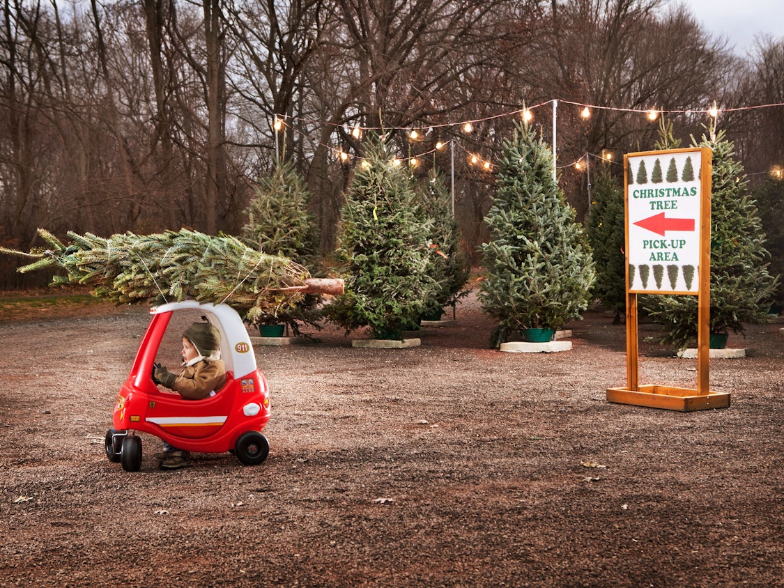 Kleiner Junge holt mit seinem Tretauto einen Weihnachtsbaum