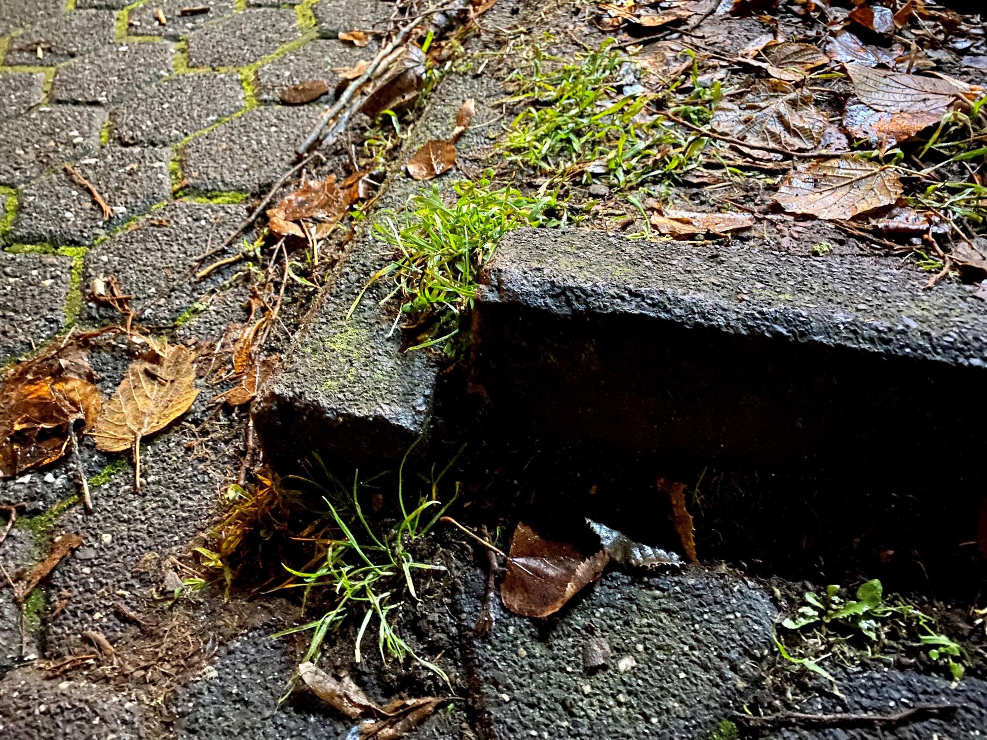 Die unscheinbare Stolperfalle in Sürth.