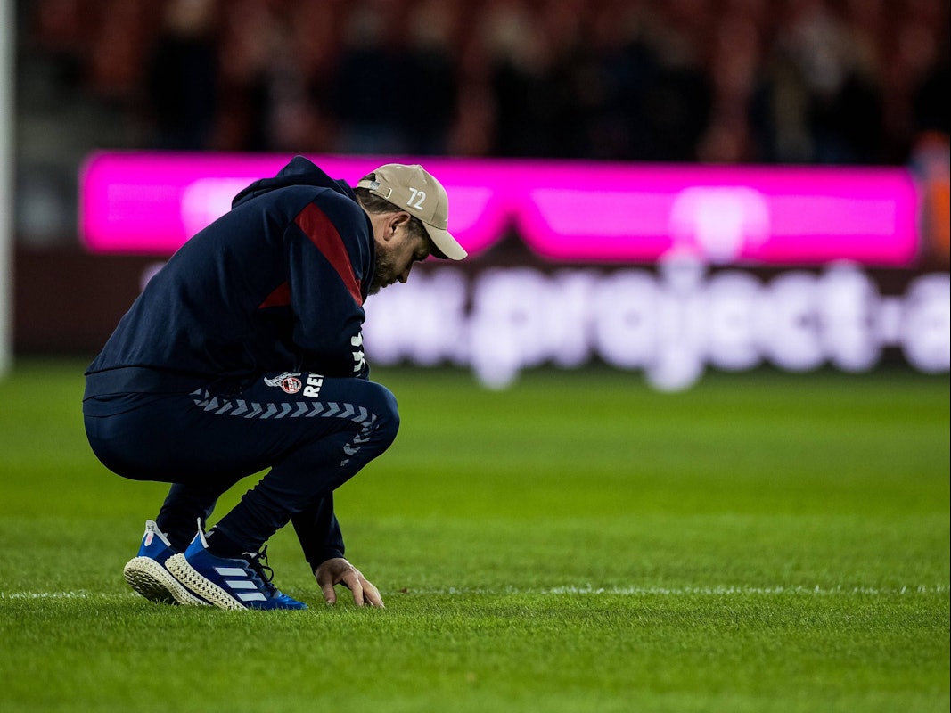Steffen Baumgart streichelt den Rasen vor dem Spiel des 1. FC Köln.
