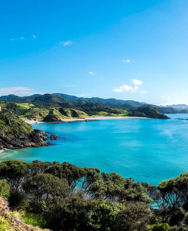Blick auf eine Bucht in Neuseeland.