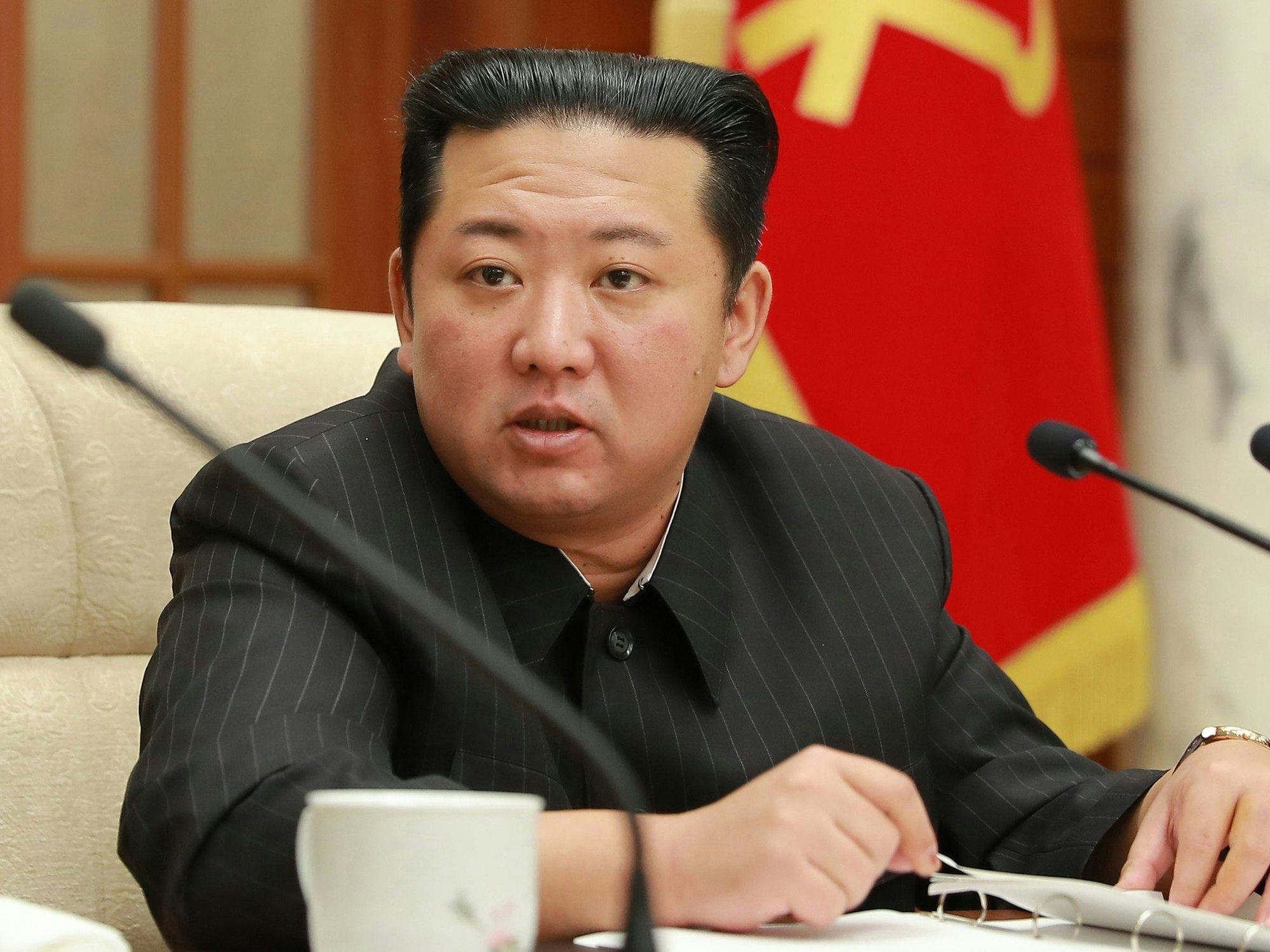 Ein von der zentralen nordkoreanischen Nachrichtenagentur (KCNA) zur Verfügung gestelltes Bild zeigt den nordkoreanischen Staatschef Kim Jong-un am 19. Januar 2022.