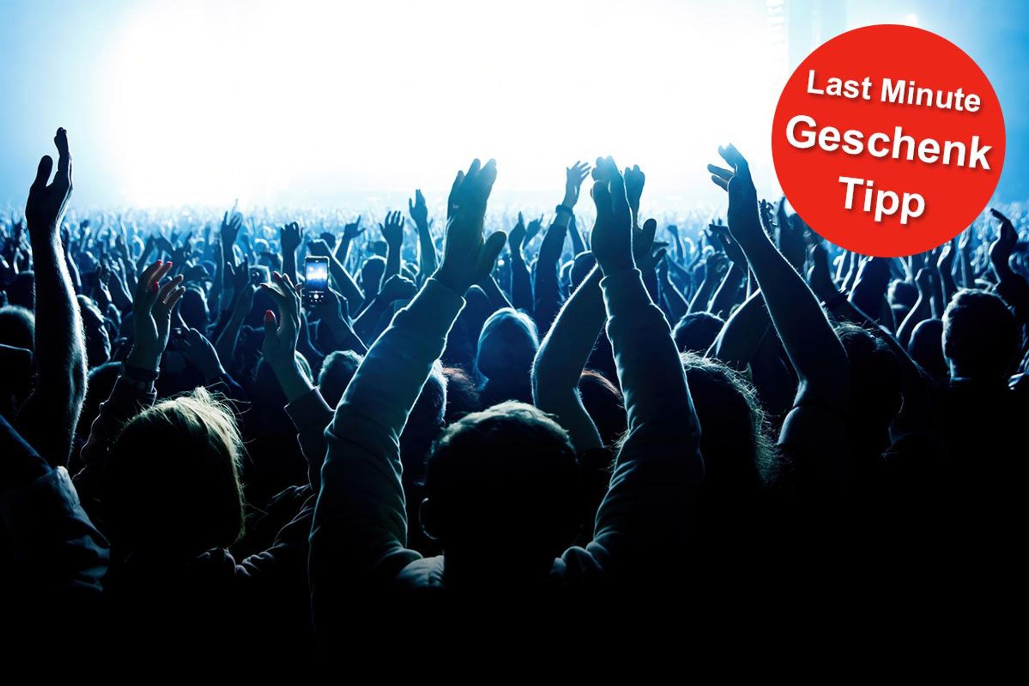 Publikum bei einem Konzert hebt die Arme und klatscht. Button im Bild für Weihnachtsgeschenk Tipp.