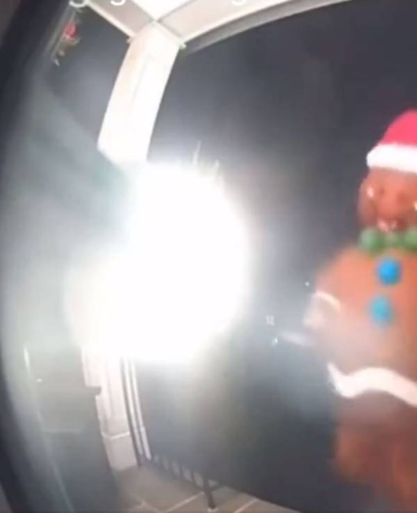 In einer Kleinstadt in den USA treibt ein unheimlicher Lebkuchenmann sein Unwesen.