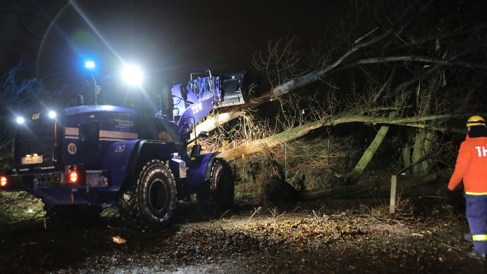 Ein Radlader des THW manövriert einen Baum von der Straße.