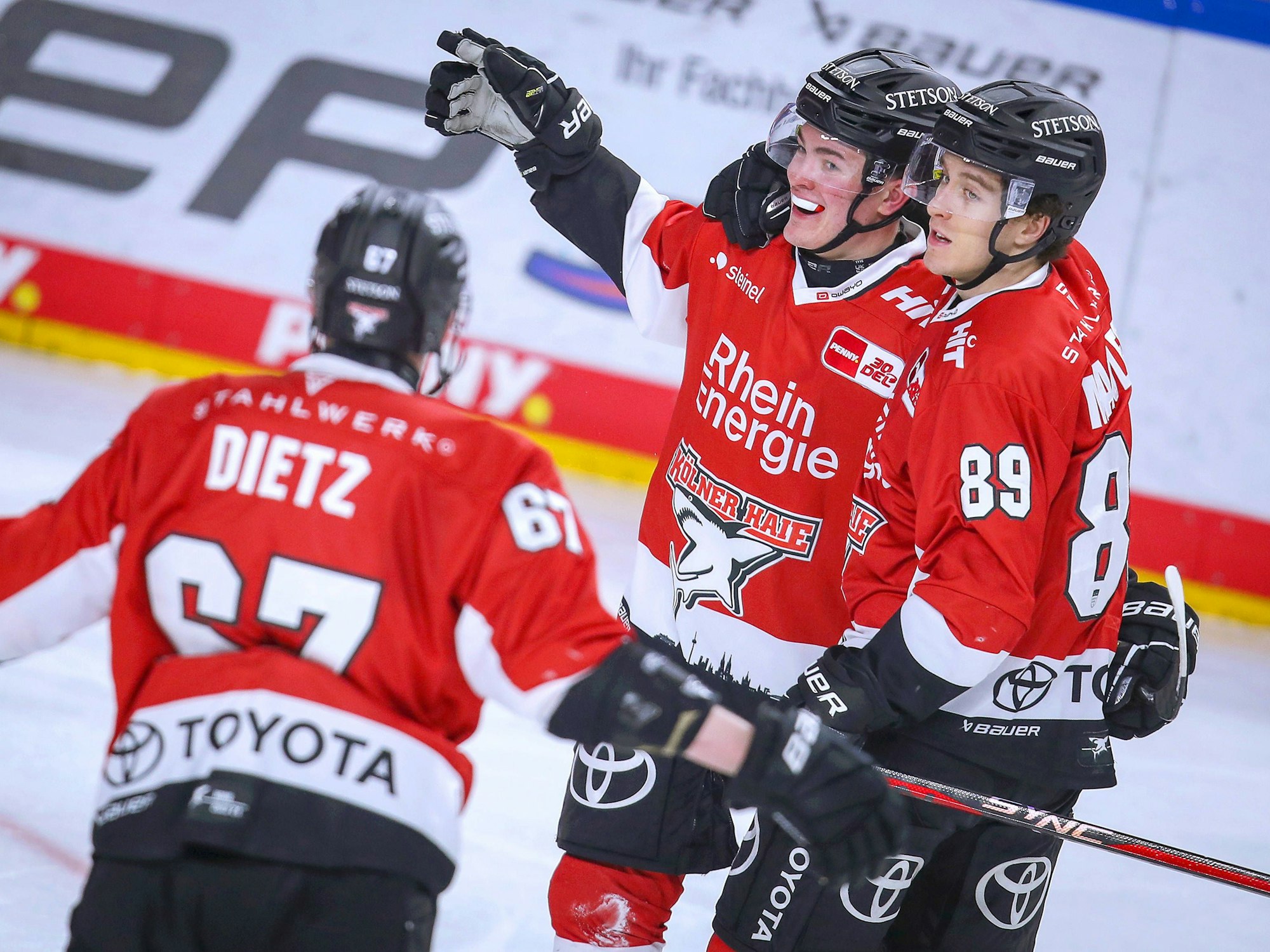 Die Haie-Profis jubeln über einen Treffer.