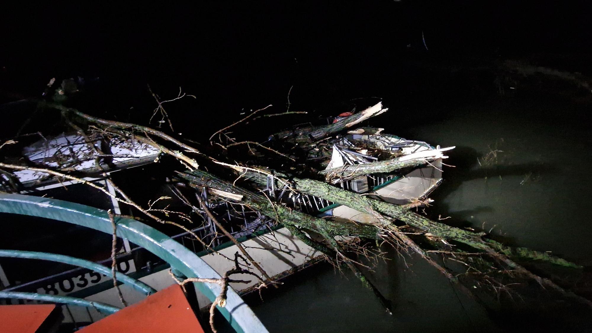 Zwei Bäume sind auf ein Schiff gefallen.